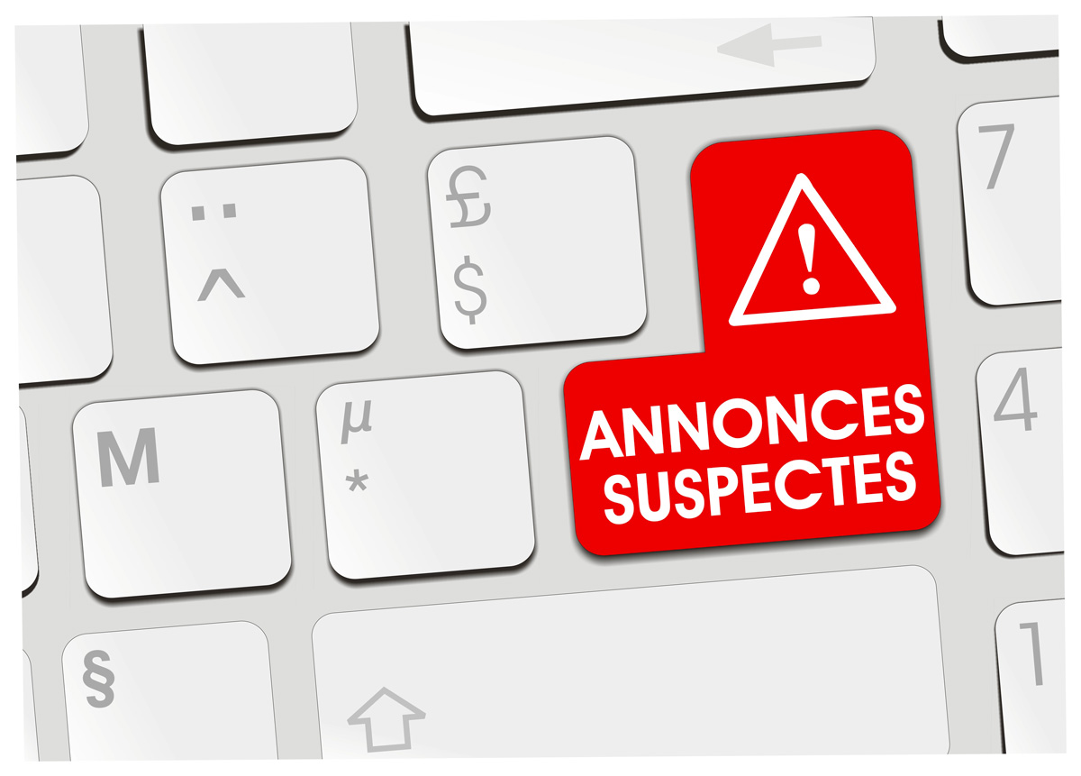 Attention aux annonces suspectes sur des sites de petites annonces 